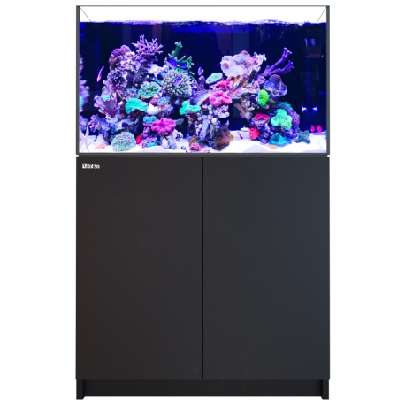 Aquarium RED SEA Reefer 300 G2+ et meuble Noir Aqua Store