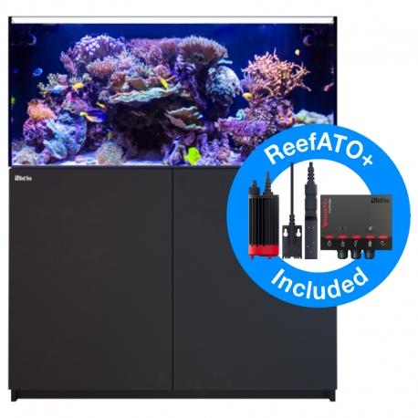 Image 4 - Aquarium RED SEA Reefer 425 G2 + meuble Noir Aqua Store