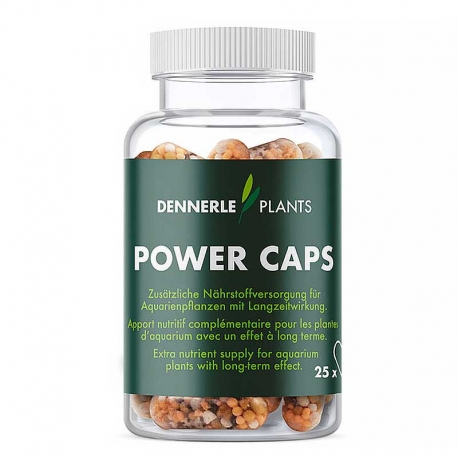 DENNERLE Plants Power Caps - 25 Capsules Aqua Store
