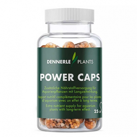 DENNERLE Plants Power Caps - 25 Capsules