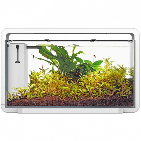 Aquarium SUPERFISH HOME 30 tout équipé - 25 Litres Aqua Store