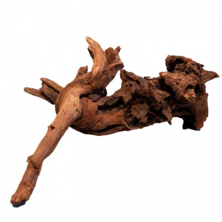 SUPERFISH Racine de Mangrove pour aquarium - 20 cm Aqua Store