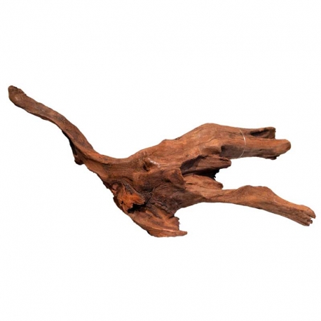 SUPERFISH Racine de Mangrove pour aquarium - 30 cm Aqua Store