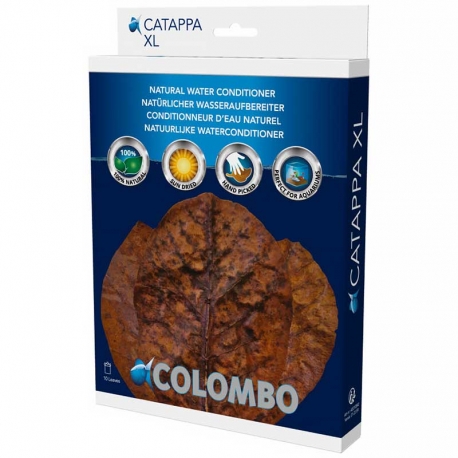 COLOMBO Catappa XL - Feuilles de badamier (x10)