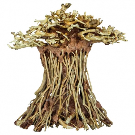 SUPERFISH Arbre Bonsai Mushroom - Taille S