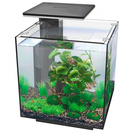 Aquarium Superfish Qubiq 30 PRO noir tout équipé - 30 Litres