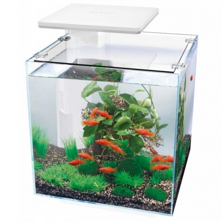 Aquarium Superfish Qubiq 30 PRO blanc tout équipé - 30 Litres