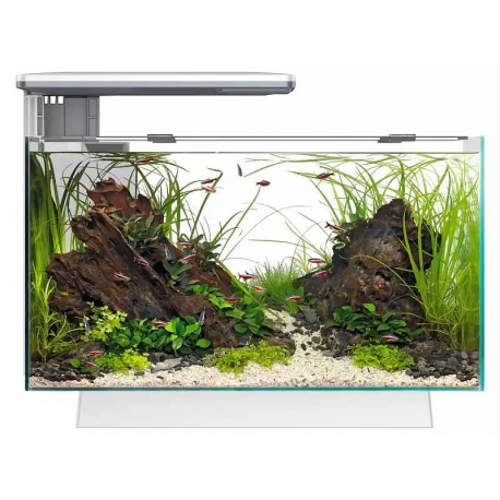 Aquarium SUPERFISH Quadro 40 PRO blanc tout équipé - 28 Litres Aqua Store