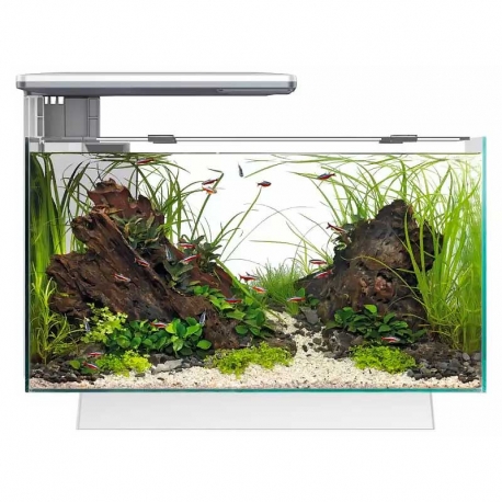 Aquarium SUPERFISH Quadro 40 PRO blanc tout équipé - 28 Litres