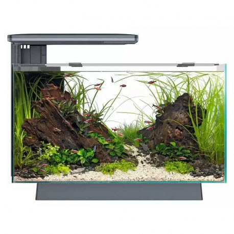 Aquarium SUPERFISH Quadro 40 PRO noir tout équipé - 28 Litres Aqua Store