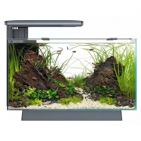 Aquarium SUPERFISH Quadro 40 PRO noir tout équipé - 28 Litres