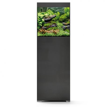 Image 2 - Aquarium OASE StyleLine 85 Noir tout équipé - 75 Litres Aqua Store