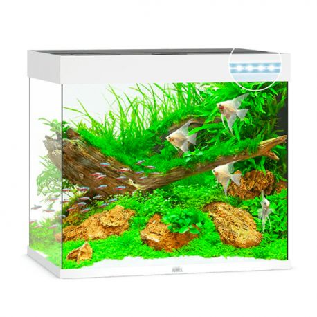 Aquarium JUWEL LIDO 200 LED Blanc tout équipé - Sans Meuble