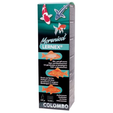 COLOMBO Morenicol Lernex 400 grammes/10000 Litres - Traitement pour poisson bassin