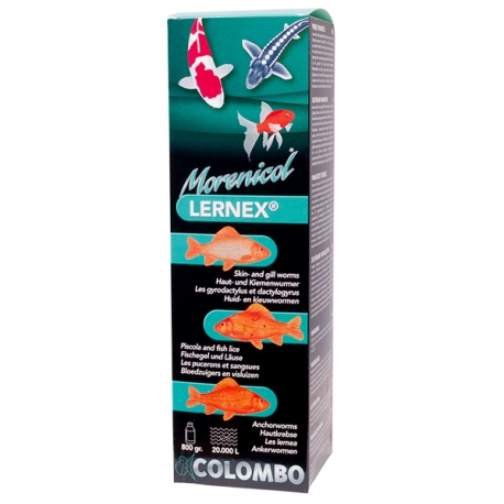 COLOMBO Morenicol Lernex 800 grammes/20000 Litres - Traitement pour poisson bassin