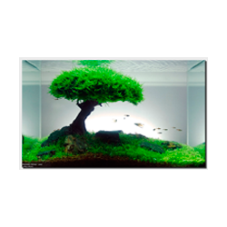 Aquascaping