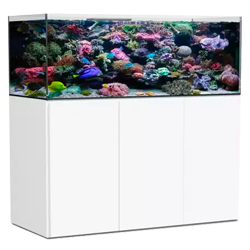 Aquarium eau de mer - Aqua Store