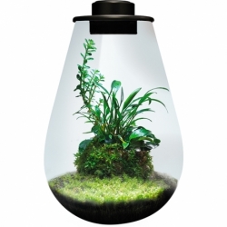 Terrariums