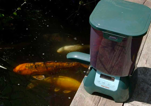 Distributeur automatique nourriture poisson