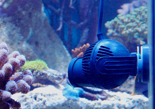 Pourquoi mettre une pompe de brassage en aquarium d'eau de mer ?