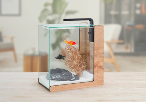 Pourquoi adopter un aquarium AquaLounge chez vous ?