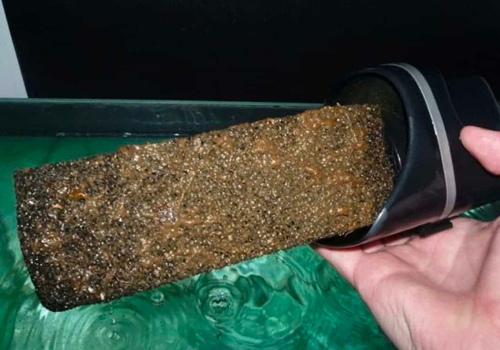 Aquarium – Erreur à éviter – Trop rincer les masses de filtration