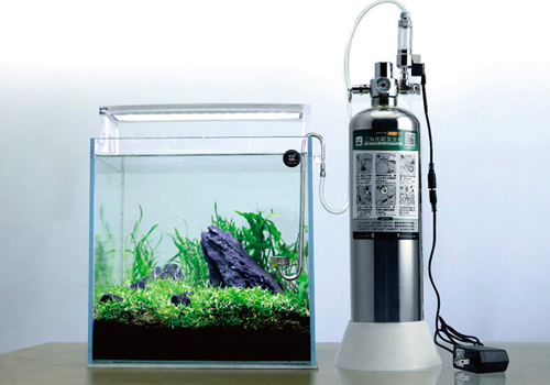Comment installer un kit CO2 pour aquarium ?