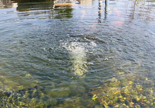 Comment choisir sa pompe à air pour bassin?