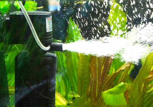 Choisir la puissance de son filtre pour aquarium