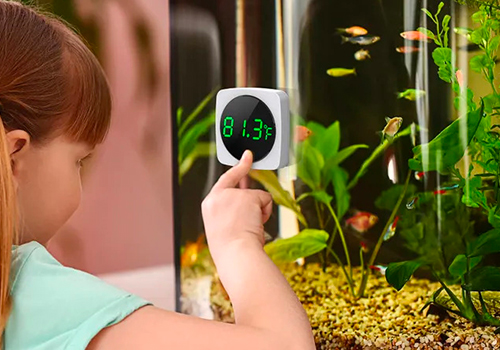 Quelle est la différence entre un thermostat et un thermomètre pour aquarium ?