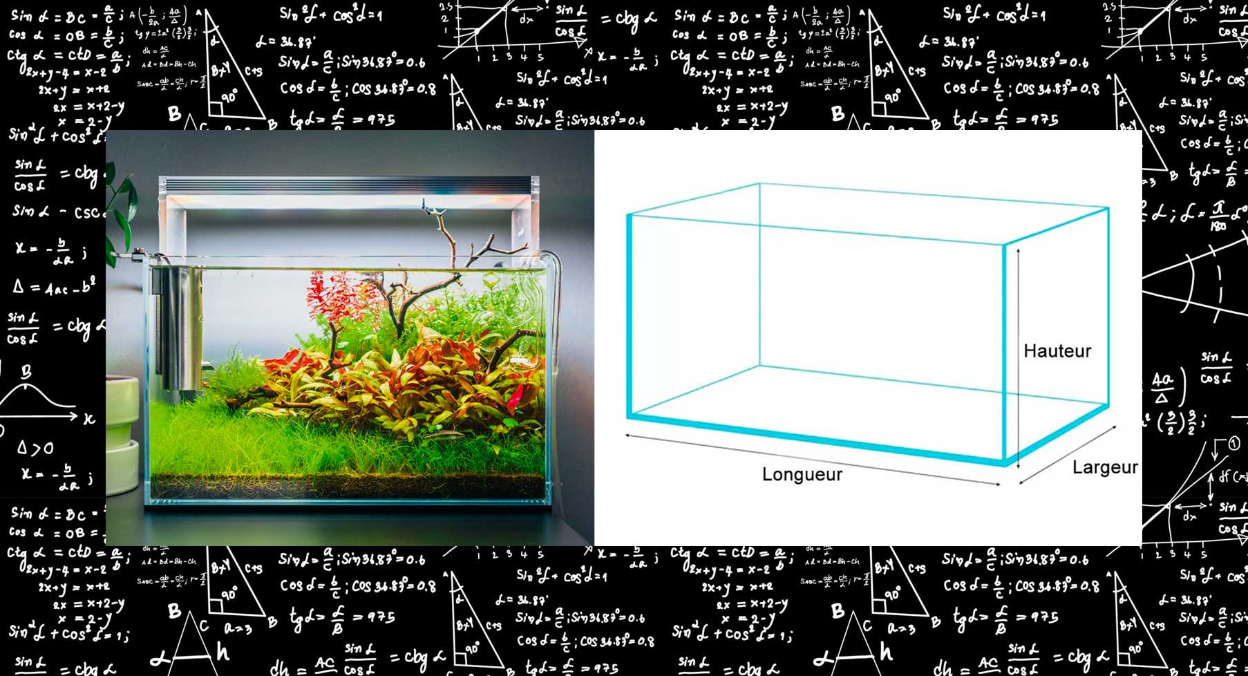 Comment calculer le volume d'un aquarium?