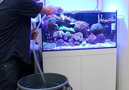 API aquarium Sel - S'utilise en eau douce et en eau de mer.