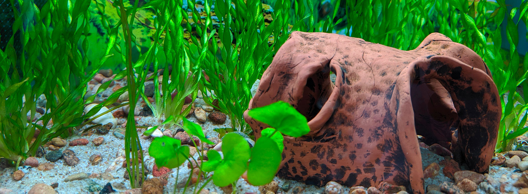 Matériau du filtre du réservoir de filet de poisson pour aquarium