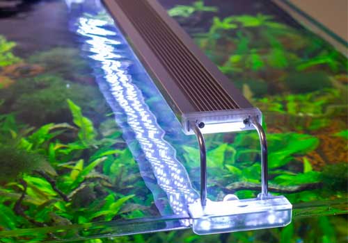 Éclairage pour aquarium - Aqualight Solution
