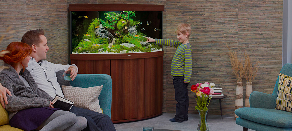 Aquarium Juwel installé chez un particulier