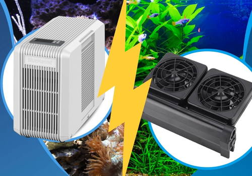 Aquarium en été : faut-il choisir un ventilateur ou un groupe froid ?