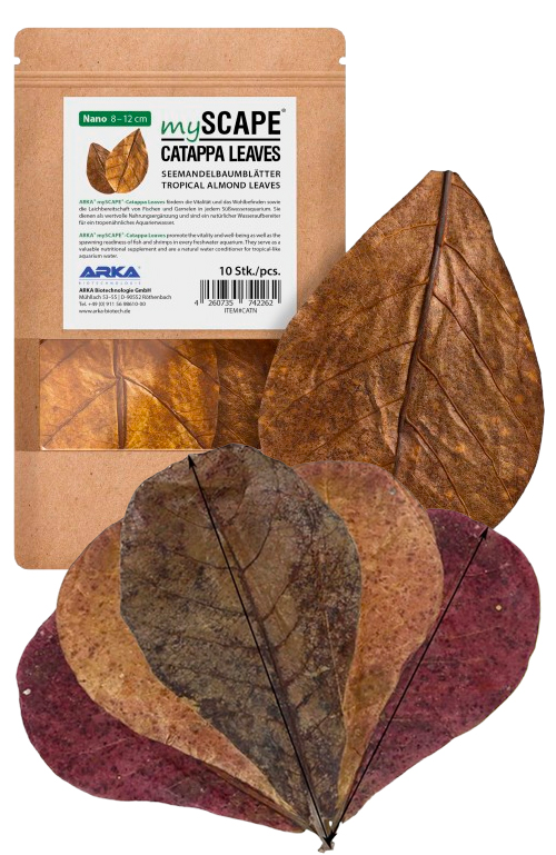 Feuilles de Catappa