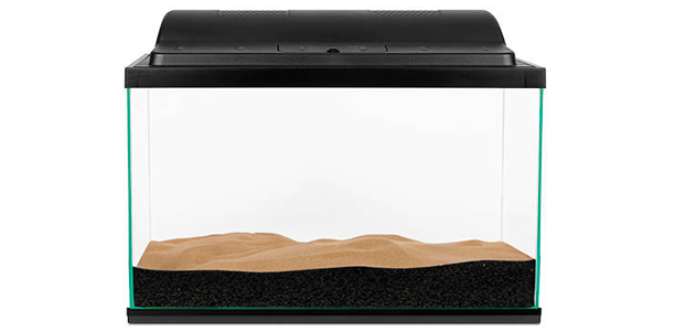 Cuve d'aquarium avec une couche de substrat nutritif et de sable