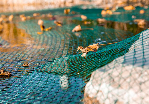 Prendre soin de son bassin quand les températures remontent