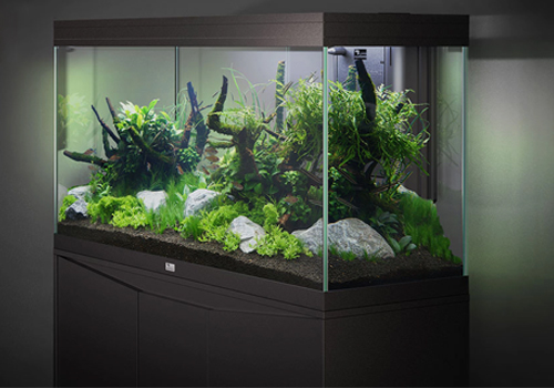 Comment réduire la consommationélectrique d'un aquarium ?