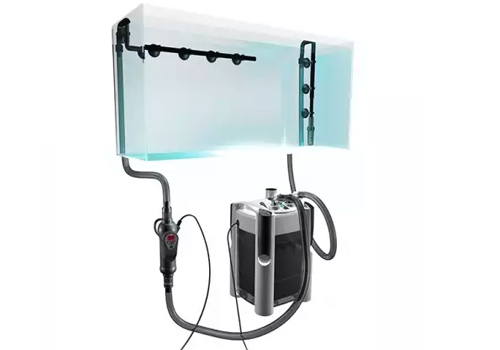 Pourquoi installer un filtre externe pour aquarium ?