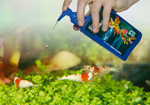 L'engrais permet d'assurer l'adjonction de substances nutritives nécessaires au maintien des plantes d'aquarium