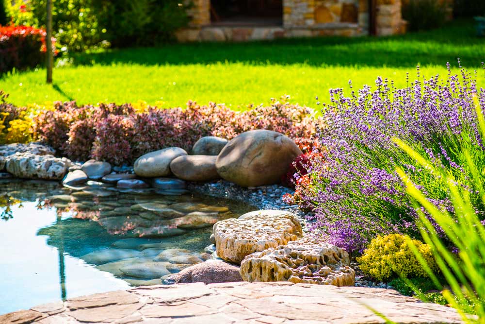 Installer un bassin à poissons dans son jardin : une bonne idée