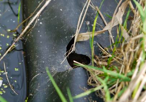 Comment répérer une fuite dans un bassin?