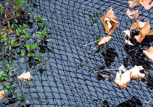 Le filet de protection contre la chute des feuilles à l'automne doit être plaqué à la berge