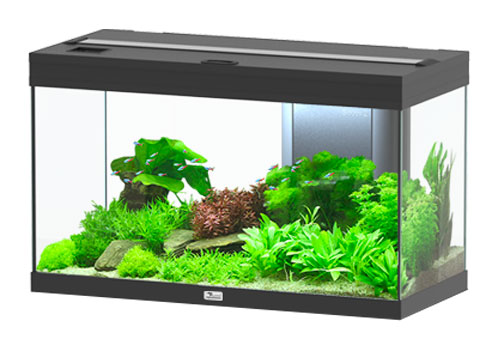 Quel filtre installer dans un aquarium de 100 litres?