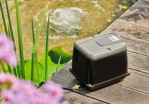 Oxygène pour bassin : qu’est-ce que c’est et comment l’apporter ?