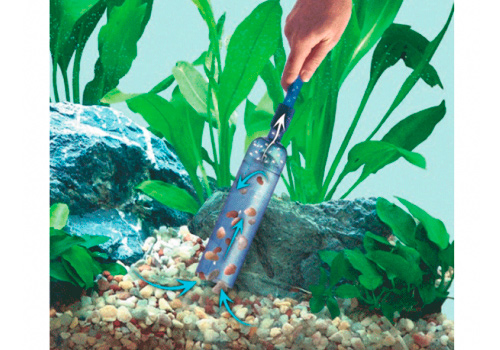 Le siphon et l'aspirateur permettent de conserver un gravier propre dans l'aquarium