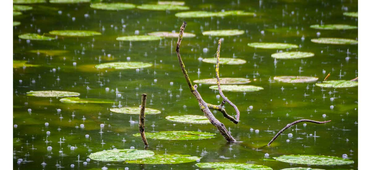 Bassin de jardin: Que faut il faire après un orage ?