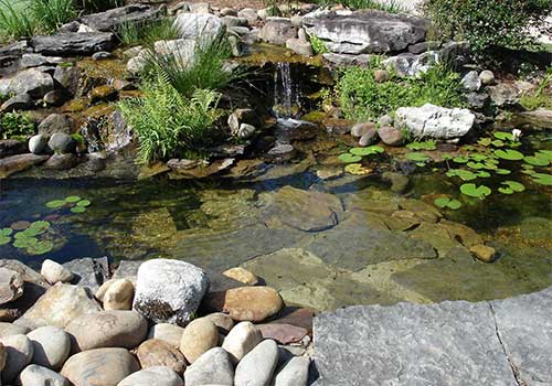 Que mettre dans le fond d'un bassin de jardin ?